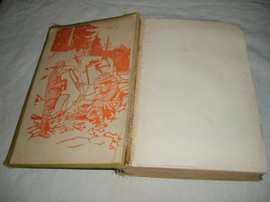 Novel, Boy Scouts in Belgium, 1915