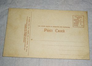Postcard, Largest Grapevine in the World, California, Rieder