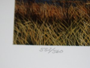 Robert Hinton Numbered Print, Grass Lake Gathering, Free USA Shipping