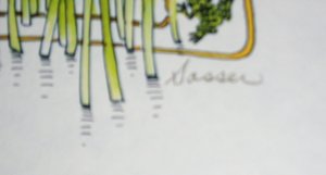 Thomas Sasser Bird Print, Snowy Egret, 8 x 10