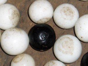 Antique Ballot Box with Original Handmade Marbles, Huge Discount