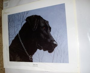Signed Numbered Print, Tried and True, Black Labrador Retriever, Debbie Miller Stonebraker, Free USA Shipping