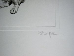 Thorpe, Rabbit Publishers Print, "He-e-e-eere's Johnny!!"