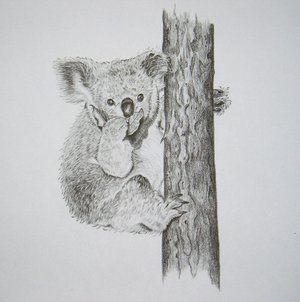 Thorpe, Koala Publishers Print, "If A Man Answers--!!"