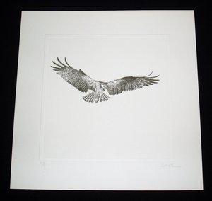 Thorpe, Hawk Publishers Print, "Your Friendly IRS Agent"