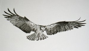 Thorpe, Hawk Publishers Print, "Your Friendly IRS Agent"