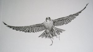 Thorpe, Hawk Publishers Print, "Where Did I Leave Those Damn Keys?!"