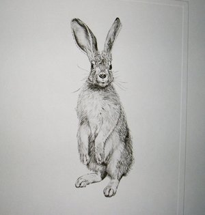 Thorpe, Rabbit Publishers Print, "He-e-e-eere's Johnny!!"