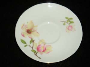 Cup & Saucer, Royal Winchester, Magnolia, England Bone China, Free USA Shipping