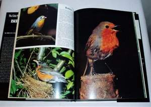 The Color Nature Library Birds, Bruce Coleman, Picture Book