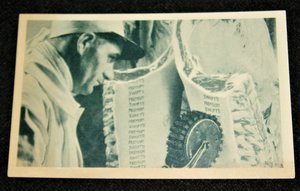 Postcard, Swift's Premium Beef Advertising, Additional Cards Ship Free