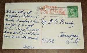 Edwardian Humorous Postcard, Piglings, Additional Cards Ship Free
