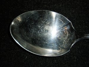 Community Silverplate, "Adam" Casserole Spoon, Free USA Shipping