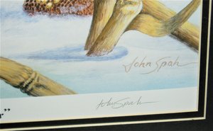 Signed/Numbered Print, The Survivor, John Spah