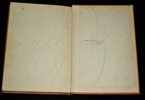 Vintage Book, Story of Wretched Flea, A Chinese Boy