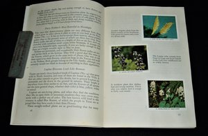 First Edition Booklets, Rocky Mountain Wildflowers, Favorite Wildflowers
