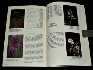First Edition Booklets, Rocky Mountain Wildflowers, Favorite Wildflowers