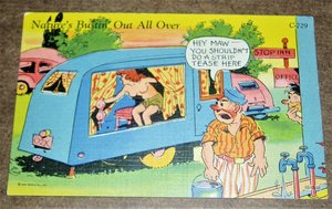 Vintage Postcard "Nature's Bustin' Out All Over", Cartoon 1940's Risque Humor, Outhouse, 2nd Card Ships Free