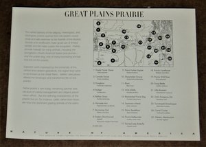 Mint 34c Stamp Sheet, Great Plains Prairie, Scott Catalog #3506, 10 Stamps