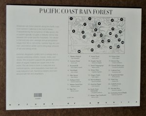 Mint 33c Stamp Sheet, Pacific Coast Rain Forest, Scott Catalog #3378, 10 Stamps
