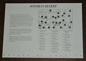 Mint 33c Stamp Sheet, Sonoran Desert, Scott Catalog #3293, 10 Stamps