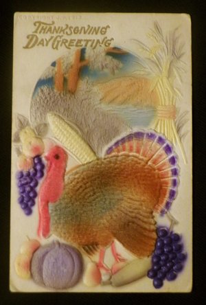 Thanksgiving Postcard, Embossed Air-Brushed Turkey