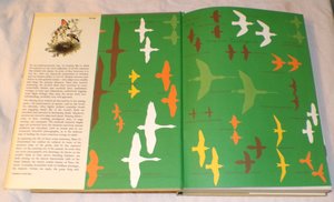 Family Life of Birds, Vintage Book, First Edition