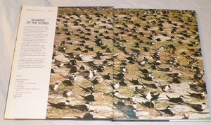Seabirds of the World, Vintage Book, First Edition