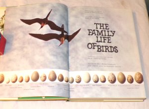Family Life of Birds, Vintage Book, First Edition