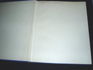 Vintage Bird Book, First Edition, Rare Cover, Bird Foot-Race in Follies