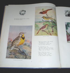 Vintage Bird Book, First Edition, Rare Cover, Bird Foot-Race in Follies