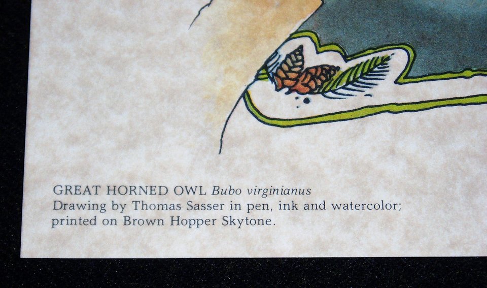 Thomas Sasser Bird Print, Great Horned Owl, 8 x 10