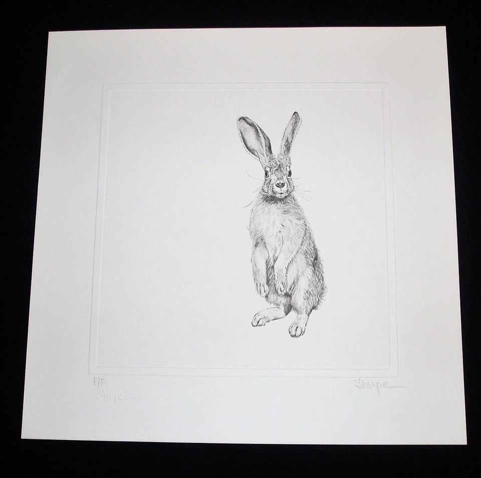 Thorpe, Rabbit Publishers Print, "He-e-e-eere's Johnny!!"