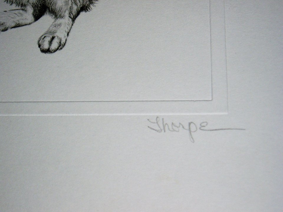 Thorpe, Rabbit Publishers Print, "He-e-e-eere's Johnny!!"