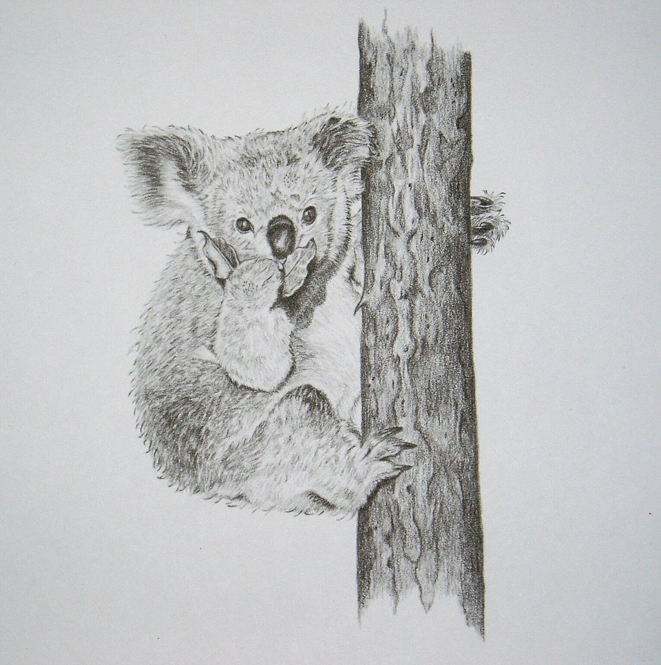 Thorpe, Koala Publishers Print, "If A Man Answers--!!"