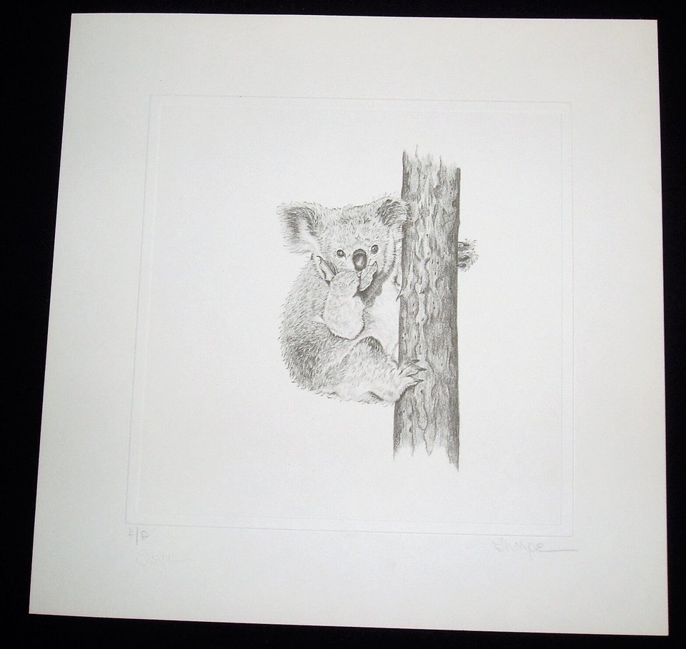 Thorpe, Koala Publishers Print, "If A Man Answers--!!"