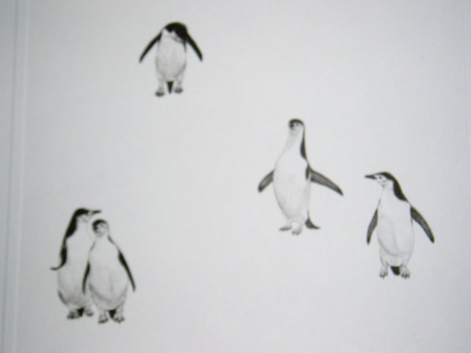 Thorpe, Penguins Publishers Print, "Stop It, Linda!!  Not In Public!!"