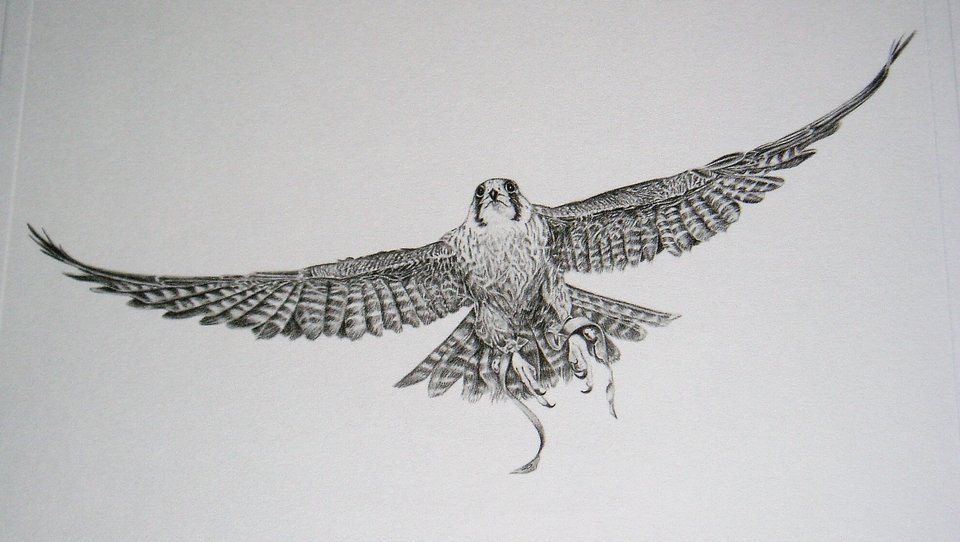 Thorpe, Hawk Publishers Print, "Where Did I Leave Those Damn Keys?!"