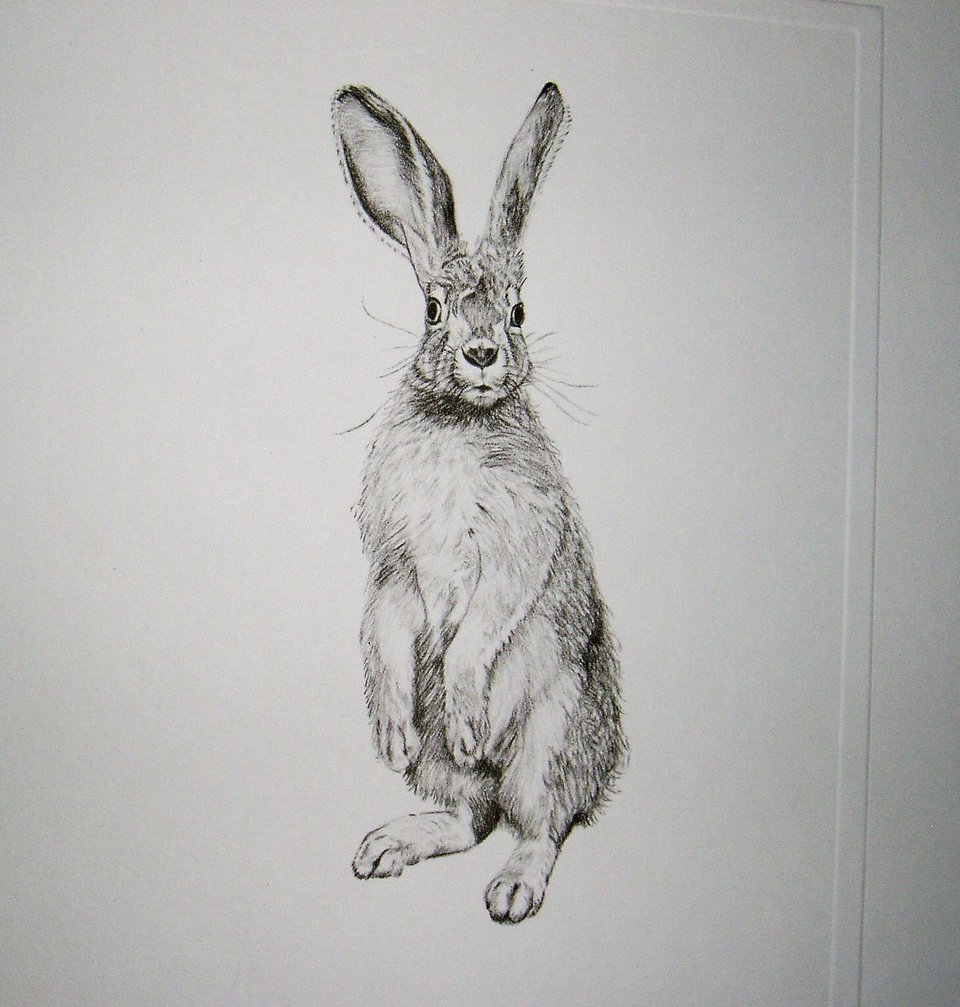 Thorpe, Rabbit Publishers Print, "He-e-e-eere's Johnny!!"