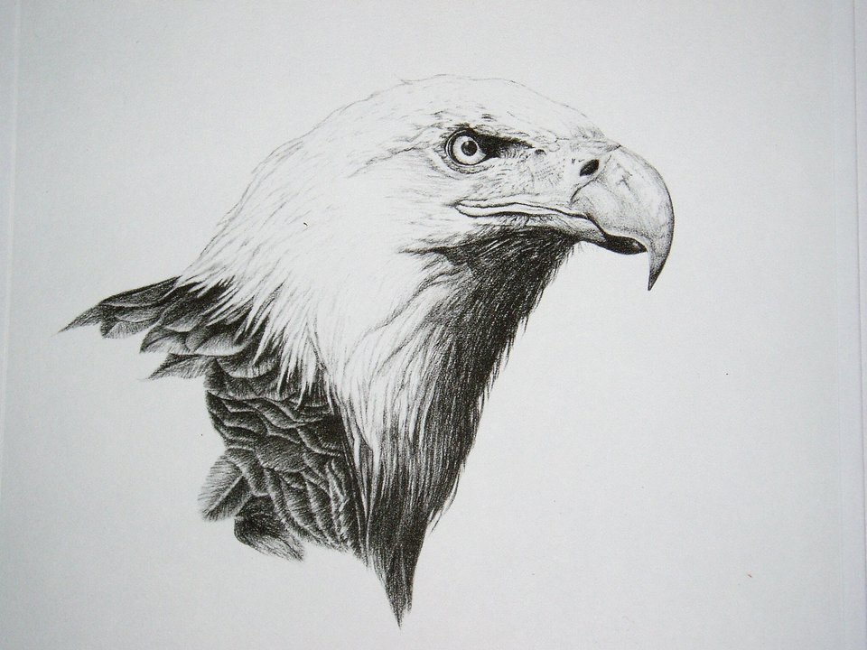 Thorpe, Bald Eagle Publishers Print, "Karl Malden, Eat Your Heart Out!!"