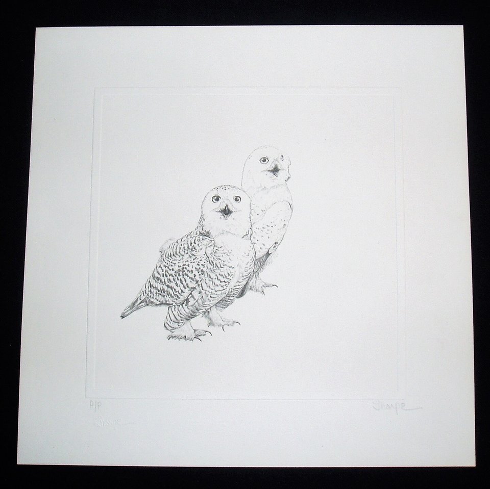 Thorpe, Snowy Owl Publishers Print, "I Thought the Body Shop Was for Cars!?"
