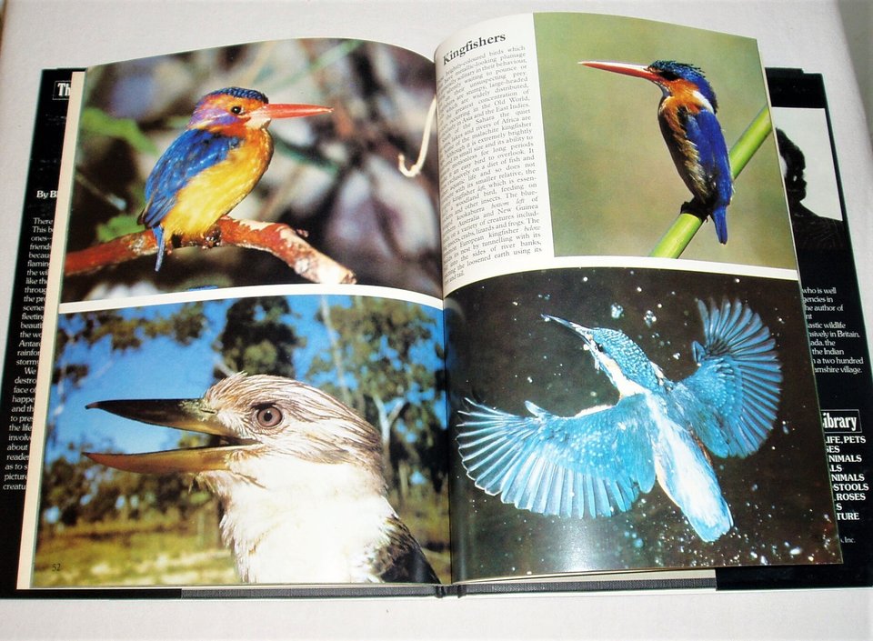The Color Nature Library Birds, Bruce Coleman, Picture Book