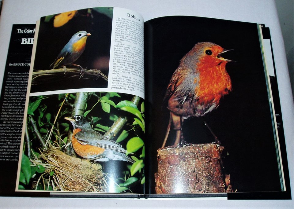 The Color Nature Library Birds, Bruce Coleman, Picture Book