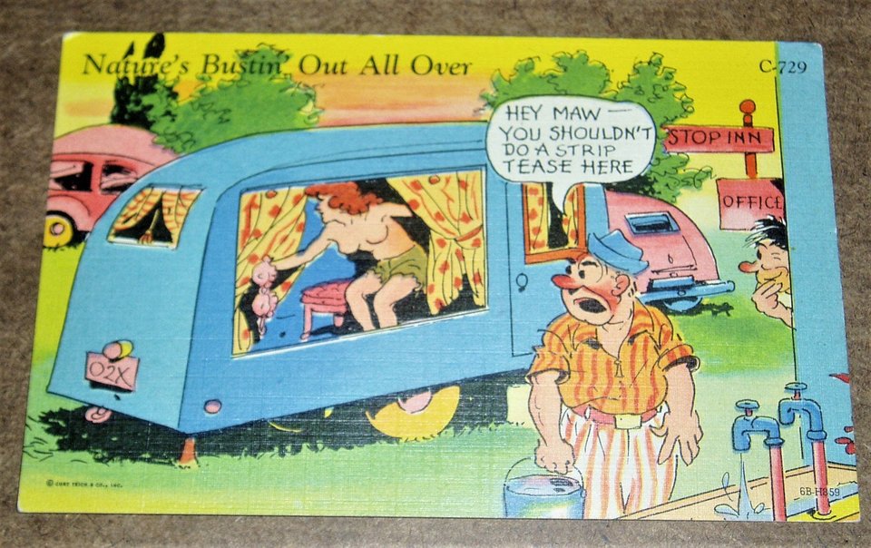 Vintage Postcard "Nature's Bustin' Out All Over", Cartoon 1940's Risque Humor, Outhouse, 2nd Card Ships Free