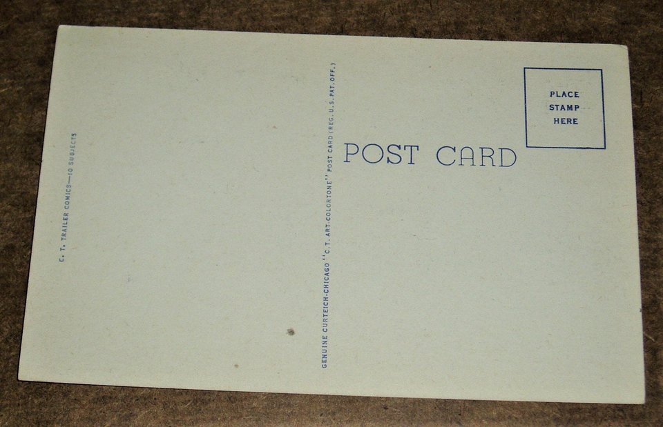 Vintage Postcard "Nature's Bustin' Out All Over", Cartoon 1940's Risque Humor, Outhouse, 2nd Card Ships Free