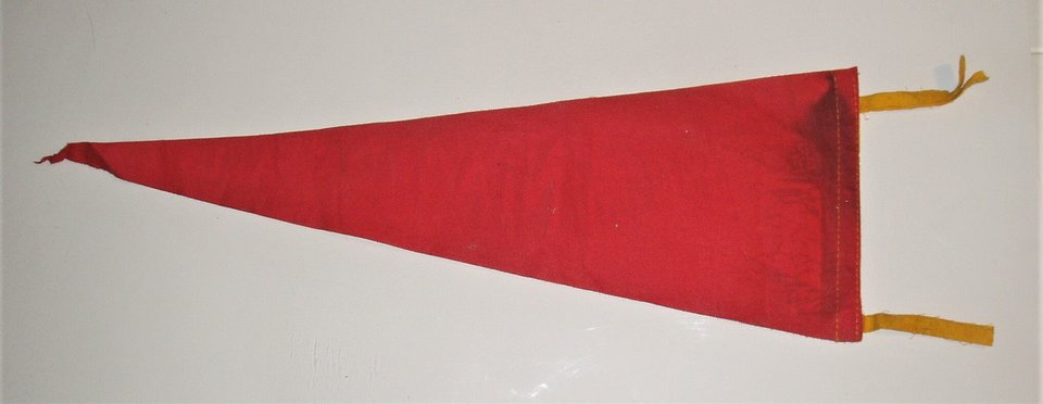Vintage Pennant, Niagara Falls, NY
