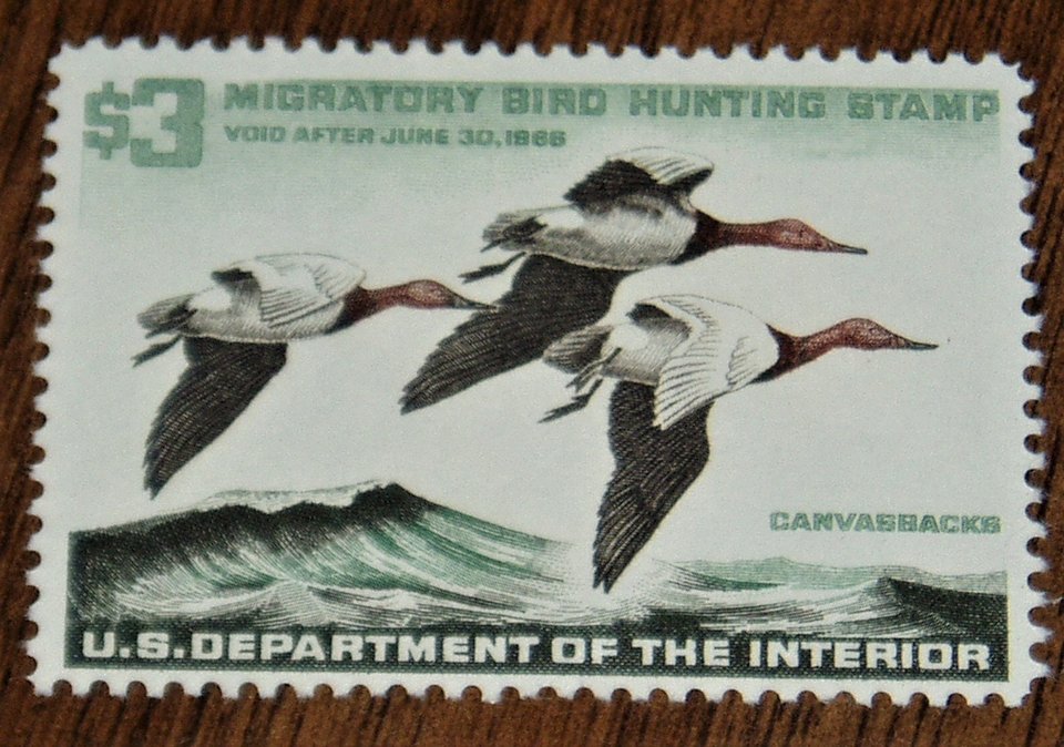 Federal Duck Stamp RW32, F-VF, Never Hinged