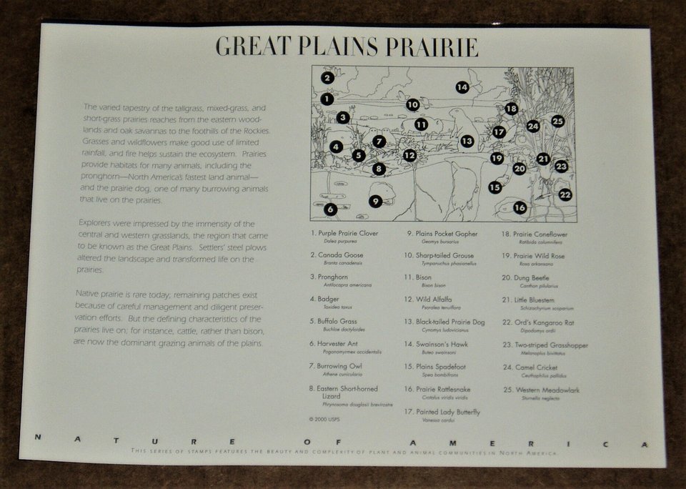 Mint 34c Stamp Sheet, Great Plains Prairie, Scott Catalog #3506, 10 Stamps