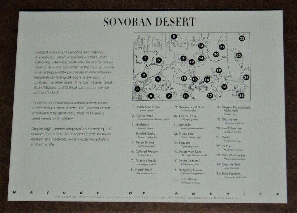 Mint 33c Stamp Sheet, Sonoran Desert, Scott Catalog #3293, 10 Stamps