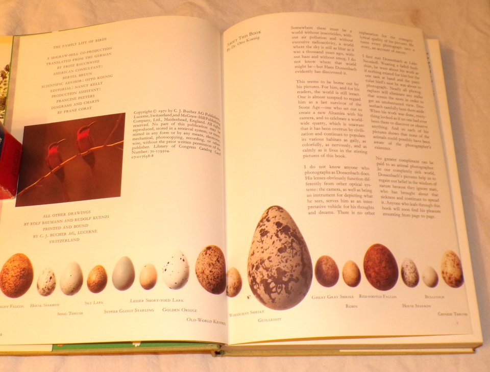 Family Life of Birds, Vintage Book, First Edition